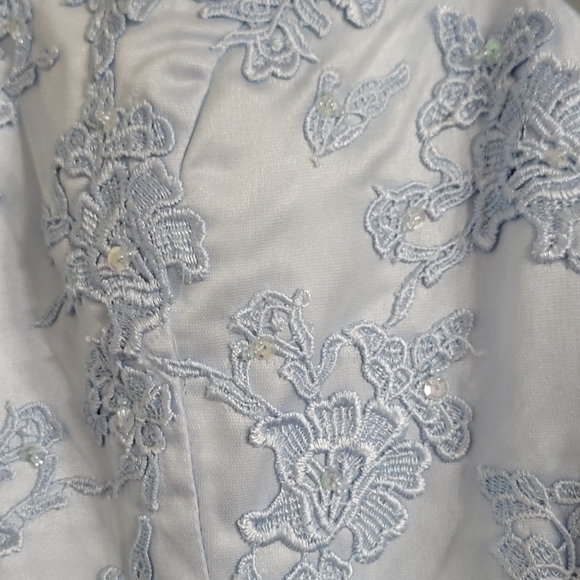 Blue Wedding/Ball Gown 35" Waist - Picture 7 of 8